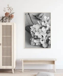 Dried Flower Bw Plakat (21x29.7 cm (A4))