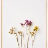 Dried flowers I Plakat (21x29.7 cm (A4))