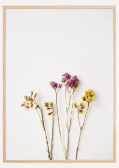 Dried flowers I Plakat (21x29.7 cm (A4))
