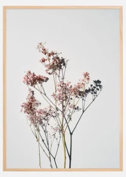 Dried flowers II Plakat (21x29.7 cm (A4))
