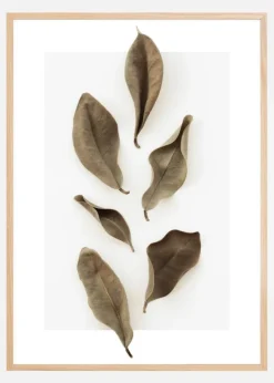 Dried Leaves Plakat (21x29.7 cm (A4))