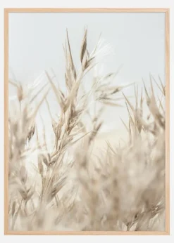 Dried Up l Plakat (21x29.7 cm (A4))