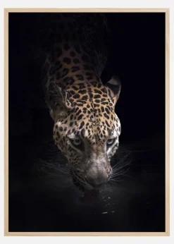 Drinking Plakat (21x29.7 cm (A4))