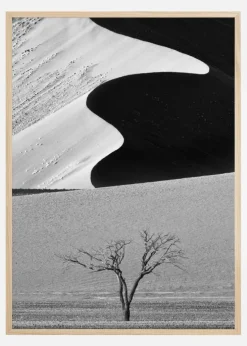Dune Curves Plakat (21x29.7 cm (A4))
