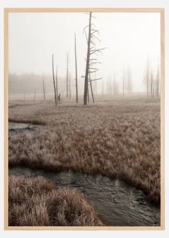 Early Morning Plakat (21x29.7 cm (A4))