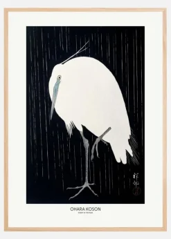 Egret In The Rain Plakat (21x29.7 cm (A4))