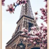 Eiffel Tower Blossoms Plakat (21x29.7 cm (A4))