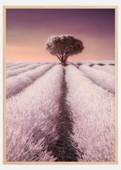 El solitario Plakat (21x29.7 cm (A4))