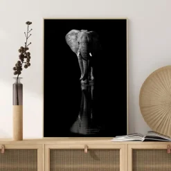 Elephant Plakat (21x29.7 cm (A4))