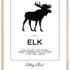 Elk Cut Chart Plakat (21x29.7 cm (A4))