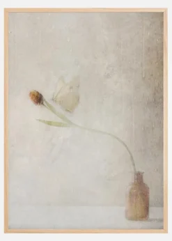 Ephemeral Meeting Plakat (21x29.7 cm (A4))