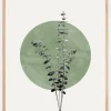 Eucalyptus and Green Moon Plakat (21x29.7 cm (A4))