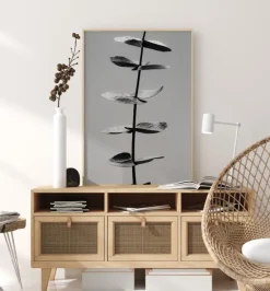 Eucalyptus Bw Plakat (21x29.7 cm (A4))