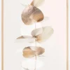 Eucalyptus Creative Gold III Plakat (21x29.7 cm (A4))