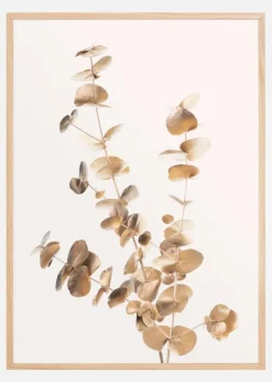Eucalyptus Gold II Plakat (21x29.7 cm (A4))