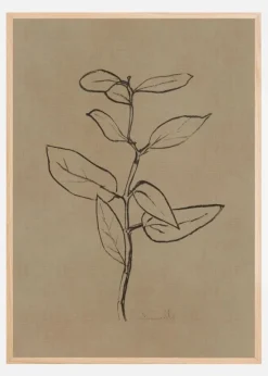 Eucalyptus Sapling Plakat (21x29.7 cm (A4))