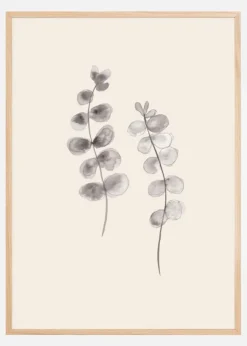 Eucalyptus Twigs Plakat (21x29.7 cm (A4))