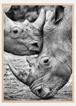 Face To Face Plakat (21x29.7 cm (A4))