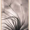 Faded Blurry Flower Plakat (21x29.7 cm (A4))