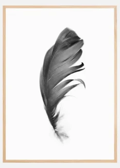 Feather Plakat (21x29.7 cm (A4))