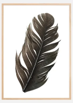 Feather Plakat (21x29.7 cm (A4))