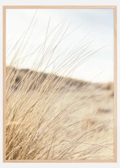 Field Plakat (21x29.7 cm (A4))