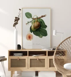 Figs Plakat (21x29.7 cm (A4))