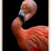 Flamingo at night Plakat (21x29.7 cm (A4))