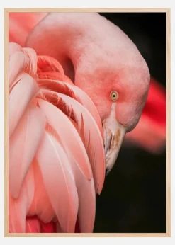 Flamingo Plakat (21x29.7 cm (A4))