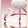 Flamingo Plakat (21x29.7 cm (A4))