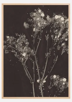 Floral Whispers Plakat (21x29.7 cm (A4))