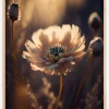 Flower in Morning Sun Plakat (21x29.7 cm (A4))