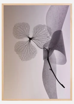 Flower Plakat (21x29.7 cm (A4))