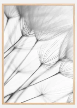 Flowers Plakat (21x29.7 cm (A4))