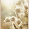 Fluffy flowers Plakat (21x29.7 cm (A4))