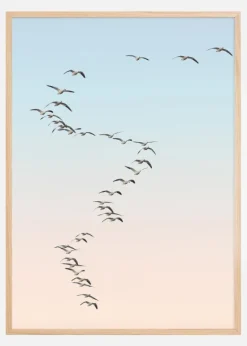 Fly away Plakat (21x29.7 cm (A4))