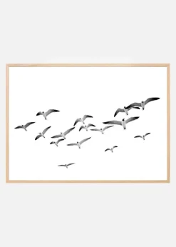 Flying Birds Plakat (21x29.7 cm (A4))