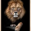 Focused Lion Color Plakat (21x29.7 cm (A4))