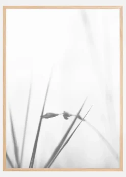 Fog Plakat (21x29.7 cm (A4))