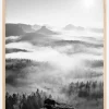 Foggy Forest Black & White I - 50x70 cm Plakat