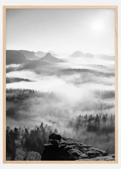 Foggy Forest Black & White I - 50x70 cm Plakat