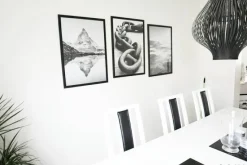 Foggy Forest Black & White I - 50x70 cm Plakat