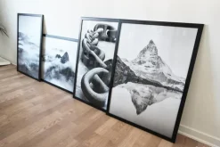 Foggy Forest Black & White I - 50x70 cm Plakat