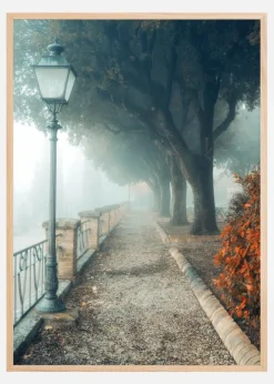 Fogy autumn day Plakat (21x29.7 cm (A4))