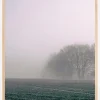 Fogy Morning Plakat (21x29.7 cm (A4))