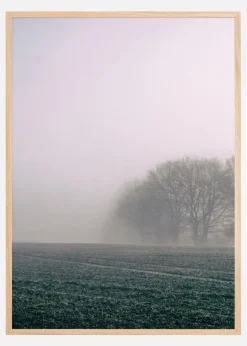 Fogy Morning Plakat (21x29.7 cm (A4))