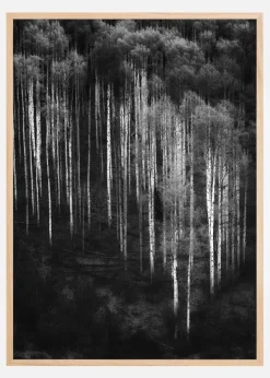 Forest Art Plakat (21x29.7 cm (A4))