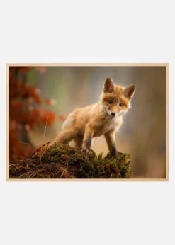 Fox Plakat (21x29.7 cm (A4))