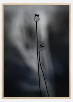 From Last Year Plakat (21x29.7 cm (A4))