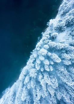 Frosty Forest Plakat (21x29.7 cm (A4))